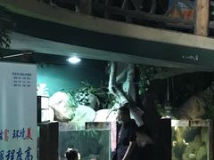 -苏州海洋馆