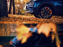 -中鑫之宝领克中心(姚家园店)