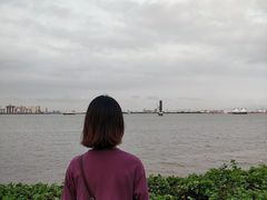 -海鸥岛