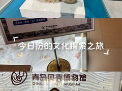 -青岛贝壳博物馆