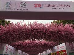 -南汇桃花村