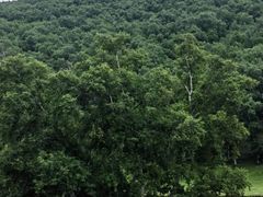 -克什克腾世界地质公园青山景区
