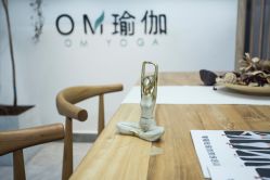-OM瑜伽教练培训学院