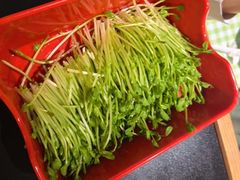 -番食园鲜食火锅(高新店)