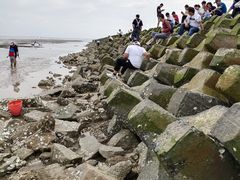 -南汇嘴观海公园