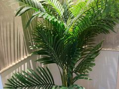 -必胜客(东营万达店)