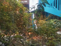 -春树下·树屋花房西餐厅(罍街AS1980店)