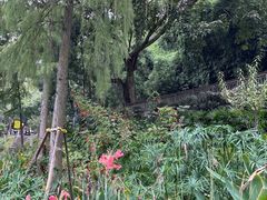 -重庆彩云湖湿地公园