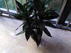 -福寿堂·推拿按摩养生(现代城店)