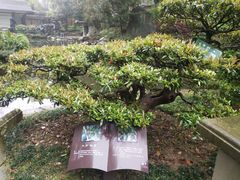-南山植物园