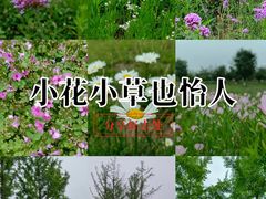 -汉长安城未央宫国家考古遗址公园