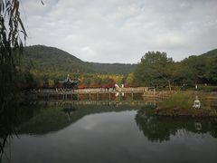 -旺山景区