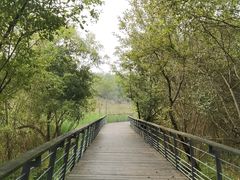 -西湖风景区-江洋畈生态公园