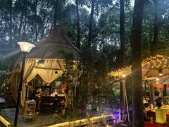 -二荆条·蜀鲜汇城市森林火锅