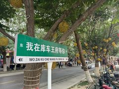 -库车王府