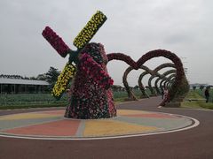 -迪茵湖田家舍生态农场