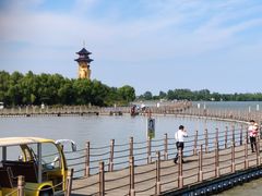 -溱湖国家湿地公园