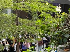 -Apple零售店(深圳益田假日广场店)