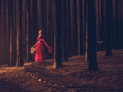 -铁山坪森林公园