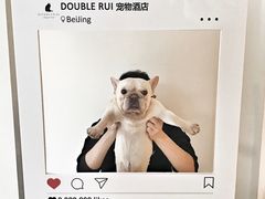 -Double Rui宠物酒店