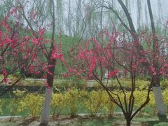 -南翠屏公园