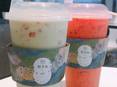 -野萃山·潮汕厚果汁(十亩地店)