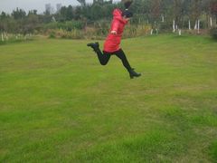 -瑶湖郊野森林公园