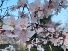 -城市运动公园(未央区)