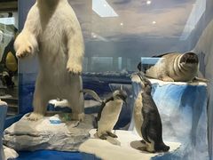 -国家自然博物馆