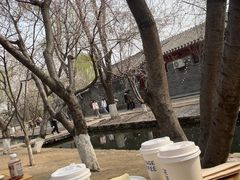 -春风习习