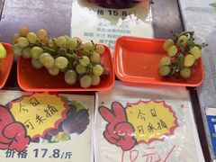 -马陆小张葡萄园农家乐