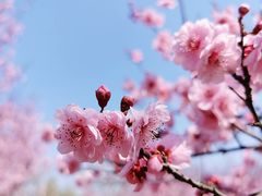 -白塘生态植物园