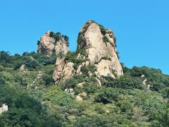 -大岭沟猕猴桃谷风景区