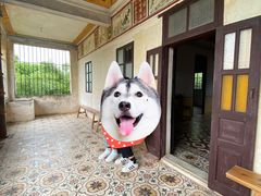 -开平碉楼文化旅游区马降龙景区