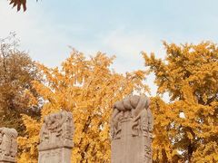 -北京石刻艺术博物馆(五塔寺)