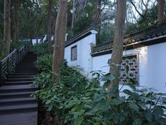 -杭州植物园
