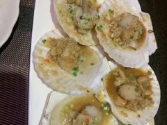 -福樱兰海鲜放题铁板烧(加州店)
