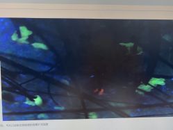 -雍禾植发全国连锁