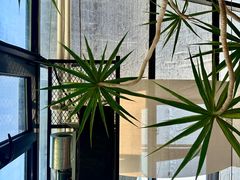 -北马山庄植趣咖啡