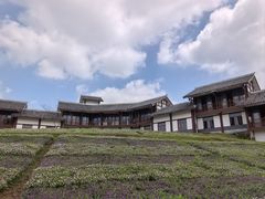-金卉庄园
