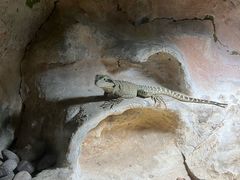 -上海大自然野生昆虫馆