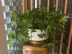 -荷风细雨·中国茶宴(世纪大道店)