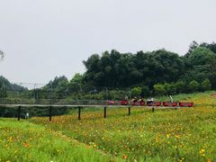 -保利石象湖景区