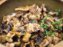 -红星光发煲仔饭(大石街店)