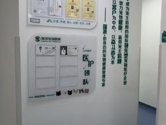 -瑞派长江宠物医院·猫科·外科·24小时夜护(谊城公寓分院)