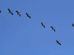 -野鸭湖国家湿地公园