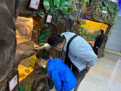 -上海大自然野生昆虫馆(东方明珠·爬宠昆虫探索中心)