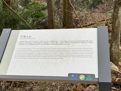 -天目山大树王景区