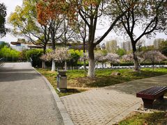 -白塘生态植物园