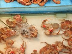 -马栏广场(地铁站)